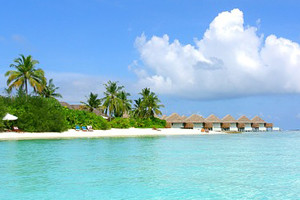 maldive